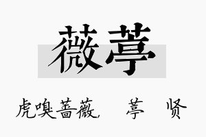 薇葶名字的寓意及含义