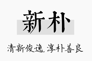 新朴名字的寓意及含义