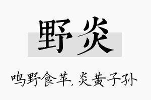 野炎名字的寓意及含义