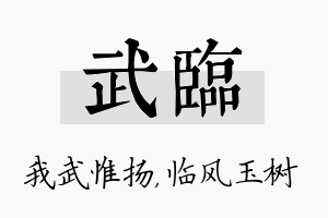 武临名字的寓意及含义