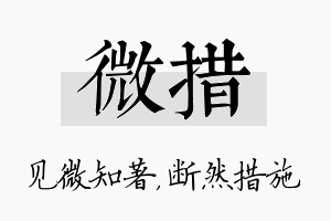 微措名字的寓意及含义