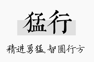 猛行名字的寓意及含义