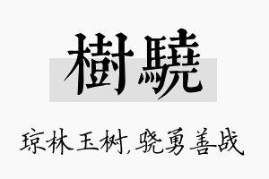 树骁名字的寓意及含义