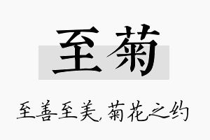 至菊名字的寓意及含义