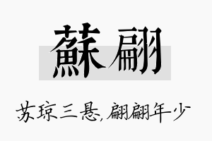 苏翩名字的寓意及含义