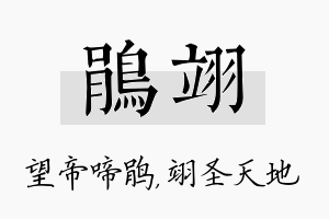 鹃翊名字的寓意及含义