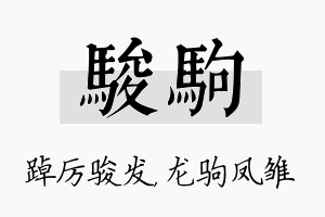 骏驹名字的寓意及含义