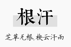 根汗名字的寓意及含义