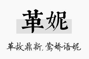 革妮名字的寓意及含义