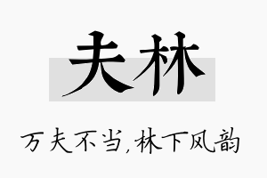 夫林名字的寓意及含义