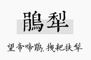 鹃犁名字的寓意及含义