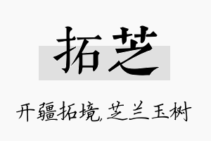 拓芝名字的寓意及含义