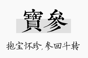 宝参名字的寓意及含义