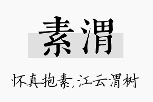 素渭名字的寓意及含义