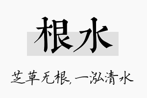 根水名字的寓意及含义