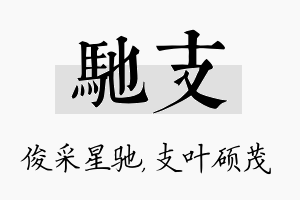 驰支名字的寓意及含义