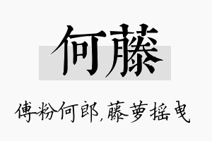 何藤名字的寓意及含义