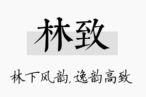 林致名字的寓意及含义