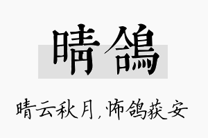 晴鸽名字的寓意及含义