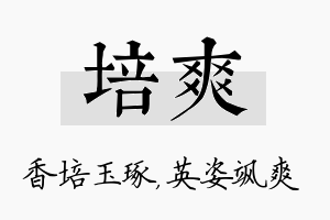 培爽名字的寓意及含义