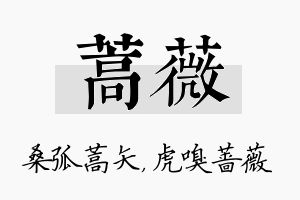 蒿薇名字的寓意及含义