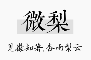 微梨名字的寓意及含义