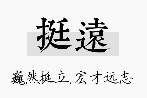 挺远名字的寓意及含义