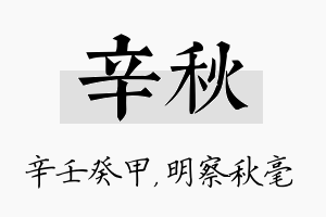 辛秋名字的寓意及含义