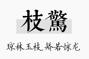 枝惊名字的寓意及含义