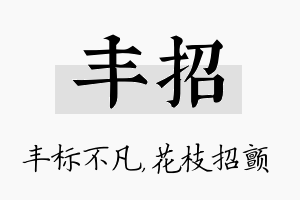 丰招名字的寓意及含义