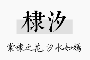 棣汐名字的寓意及含义