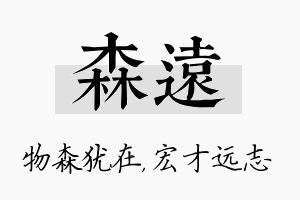 森远名字的寓意及含义