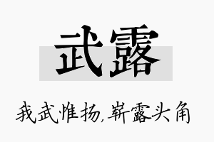 武露名字的寓意及含义