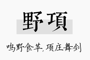 野项名字的寓意及含义