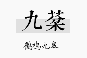 九棻名字的寓意及含义