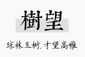 树望名字的寓意及含义