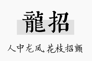 龙招名字的寓意及含义