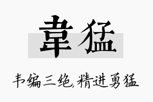 韦猛名字的寓意及含义