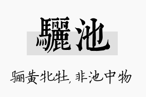 骊池名字的寓意及含义