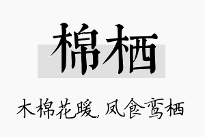 棉栖名字的寓意及含义