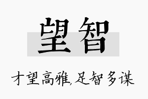 望智名字的寓意及含义