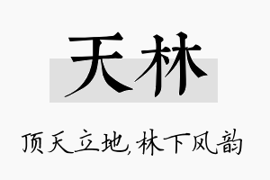 天林名字的寓意及含义