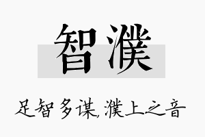 智濮名字的寓意及含义