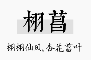 栩菖名字的寓意及含义