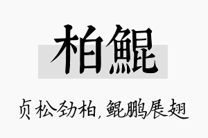 柏鲲名字的寓意及含义