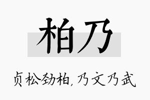 柏乃名字的寓意及含义