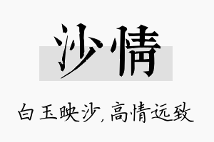 沙情名字的寓意及含义