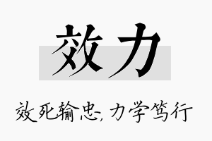 效力名字的寓意及含义