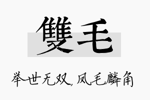 双毛名字的寓意及含义