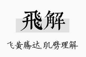 飞解名字的寓意及含义